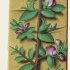 Bugrane épineuse – Grandes Heures d'Anne de Bretagne, J. Bourdichon, f151r