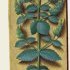 Menthe à feuilles rondes – Grandes Heures d'Anne de Bretagne, J. (…)