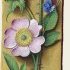 Eglantier fleur – Grandes Heures d'Anne de Bretagne, J. Bourdichon, f113r