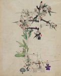 Prunus spinosa - Mackintosh - aquarelle, 1910
