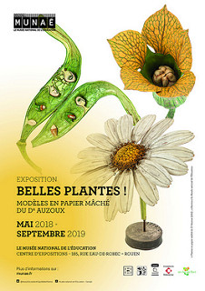 Affiche expo Belles plantes ! ... à Rouen